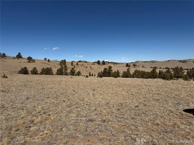 367 Arikara Trail Hartsel, CO 80449