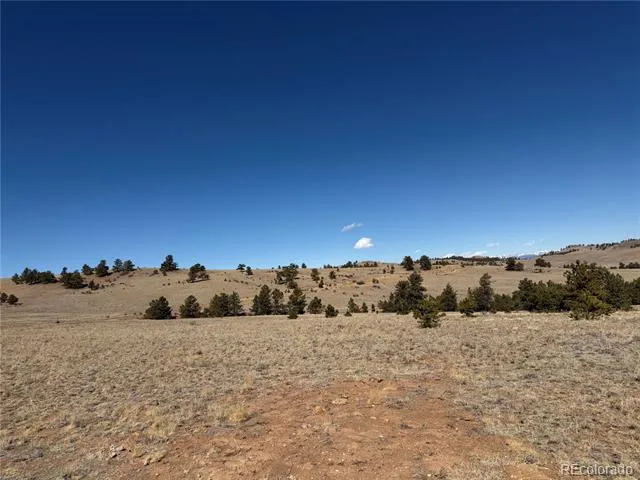 367 Arikara Trail Hartsel, CO 80449
