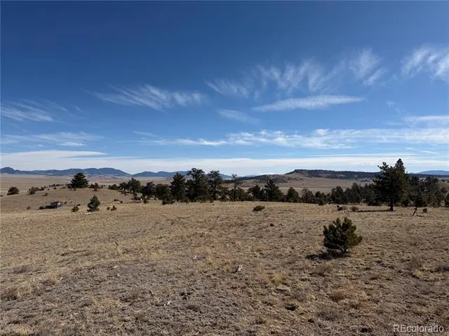 367 Arikara Trail Hartsel, CO 80449