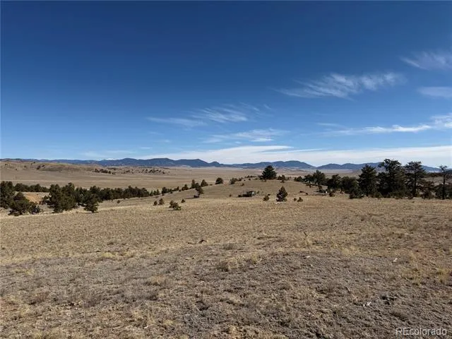 367 Arikara Trail Hartsel, CO 80449
