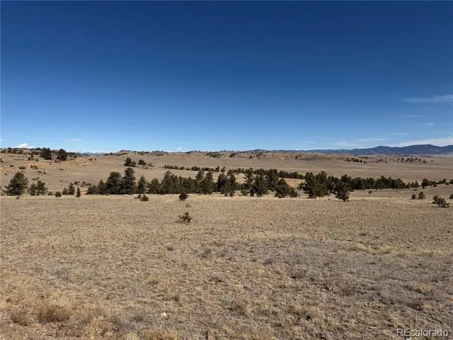 367 Arikara Trail Hartsel, CO 80449