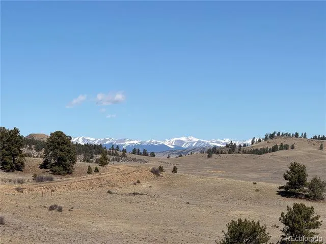 367 Arikara Trail Hartsel, CO 80449