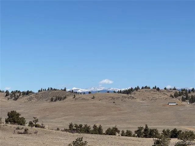 367 Arikara Trail Hartsel, CO 80449