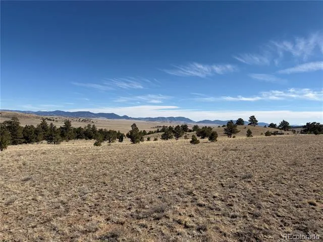367 Arikara Trail Hartsel, CO 80449