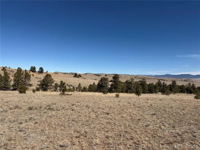367 Arikara Trail Hartsel, CO 80449