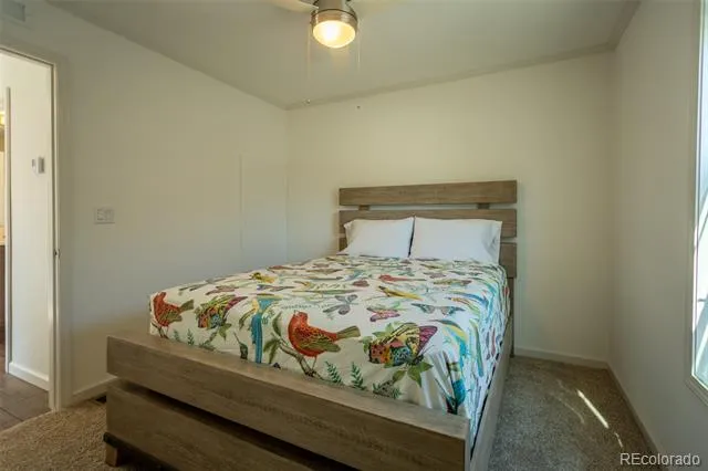 910 J STREET Salida, CO 81201