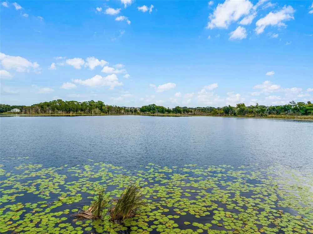 1257 BLESSING STREET Maitland, FL 32751