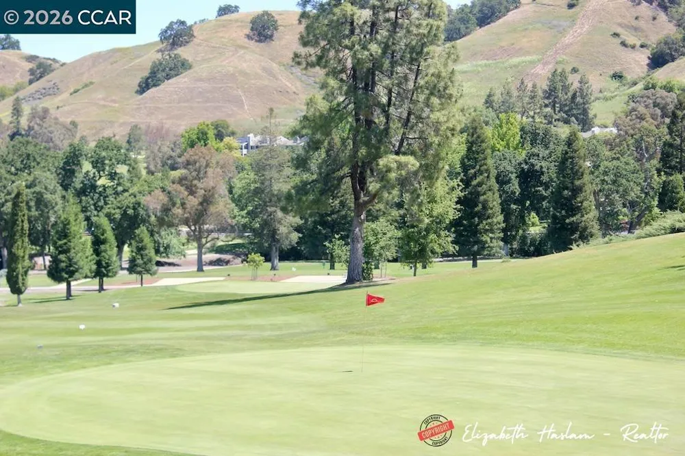 2500 Ptarmigan Dr #4 Walnut Creek, CA 94595