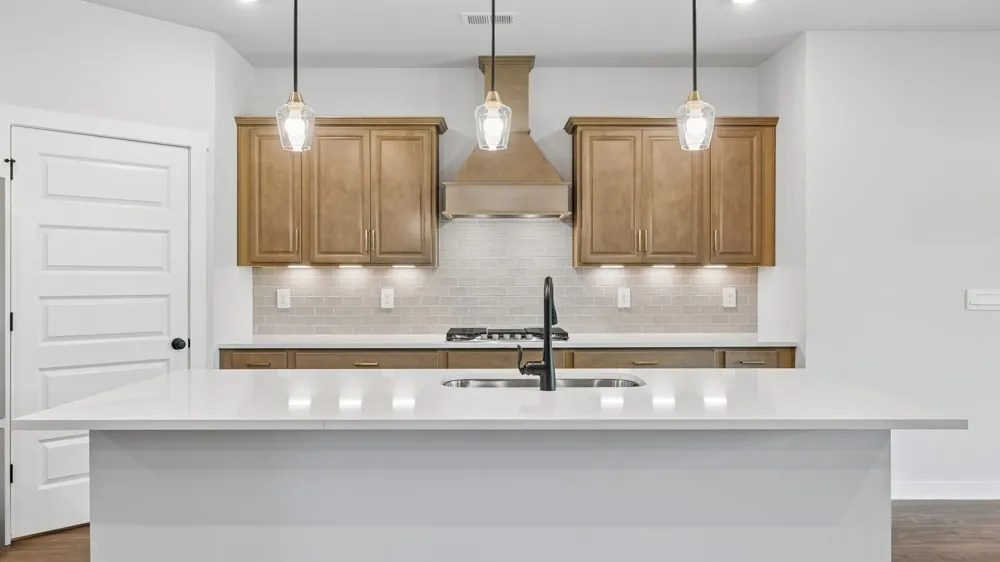 329 Harvest Point Blvd Spring Hill, TN 37174