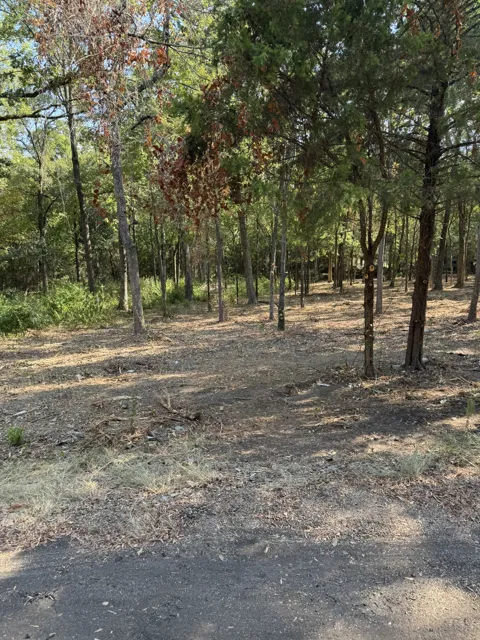 Garner Drive