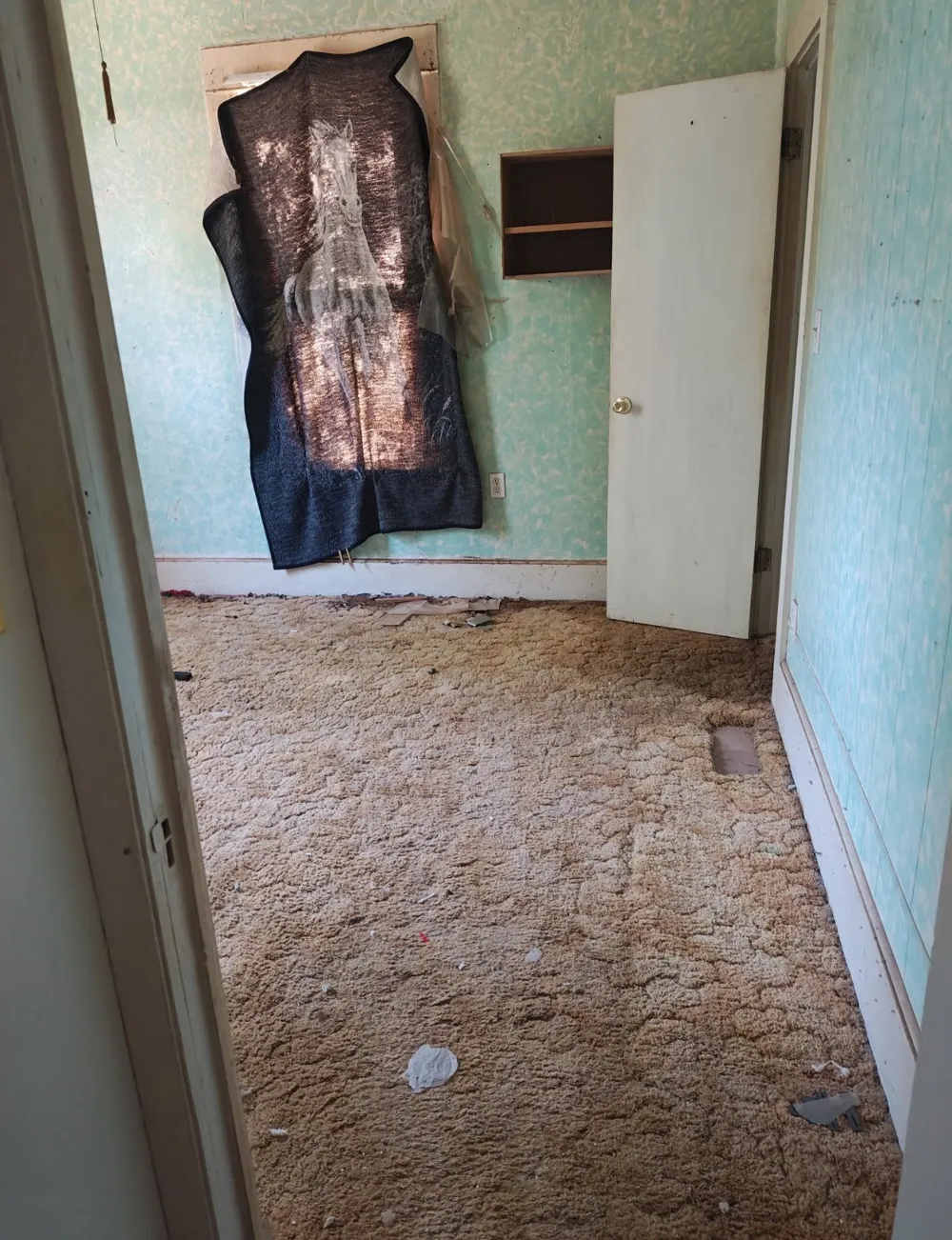 900 S 13th Street Slaton, TX 79364