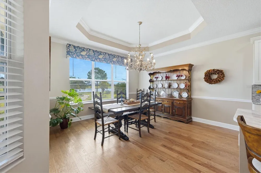 5209 LAKE VENICE DRIVE Wimauma, FL 33598