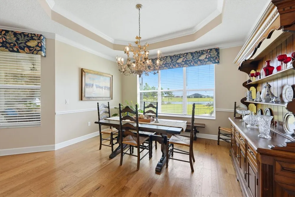 5209 LAKE VENICE DRIVE Wimauma, FL 33598