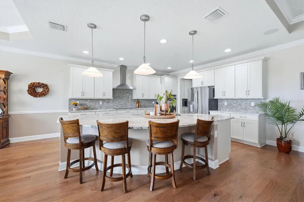 5209 LAKE VENICE DRIVE Wimauma, FL 33598