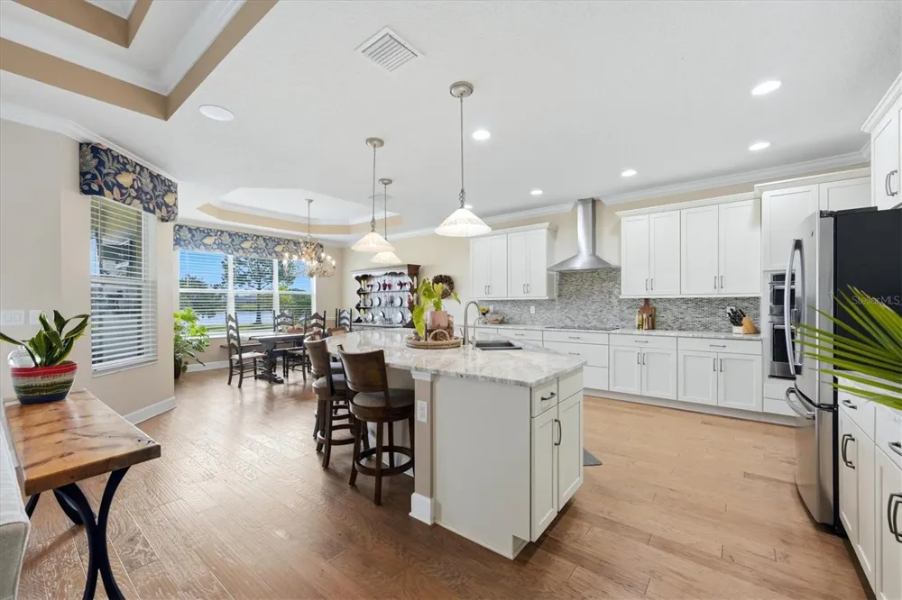 5209 LAKE VENICE DRIVE Wimauma, FL 33598