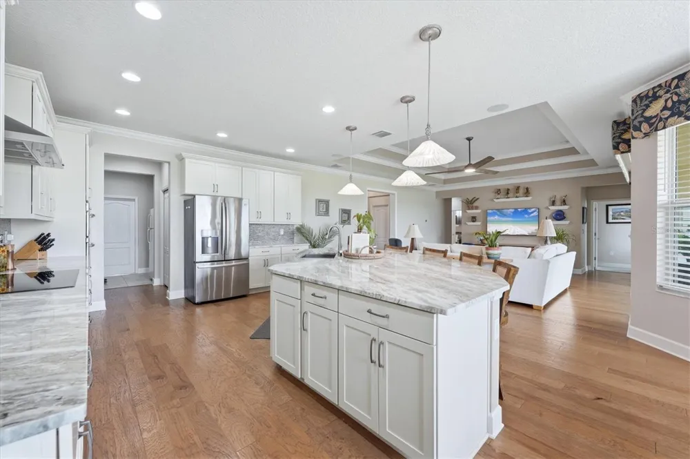 5209 LAKE VENICE DRIVE Wimauma, FL 33598
