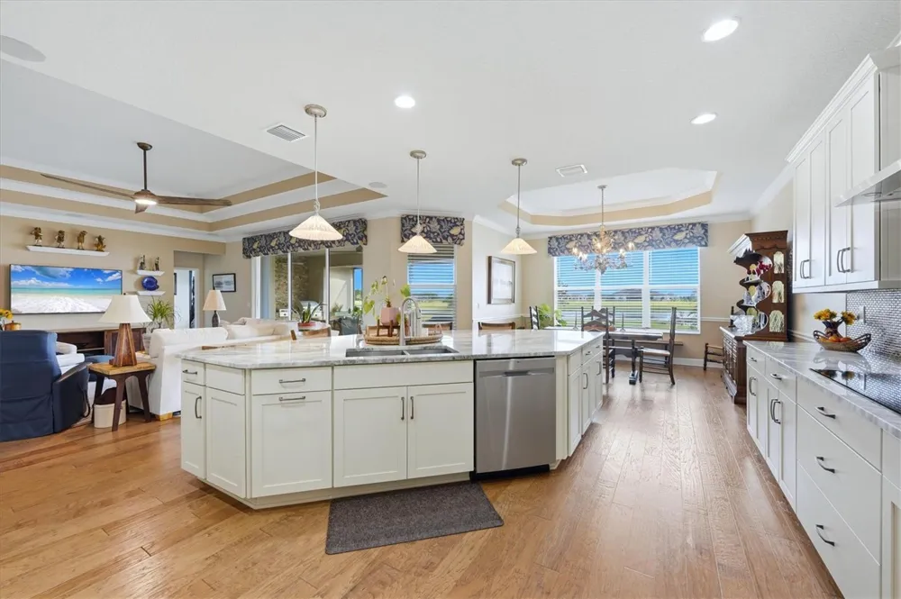 5209 LAKE VENICE DRIVE Wimauma, FL 33598
