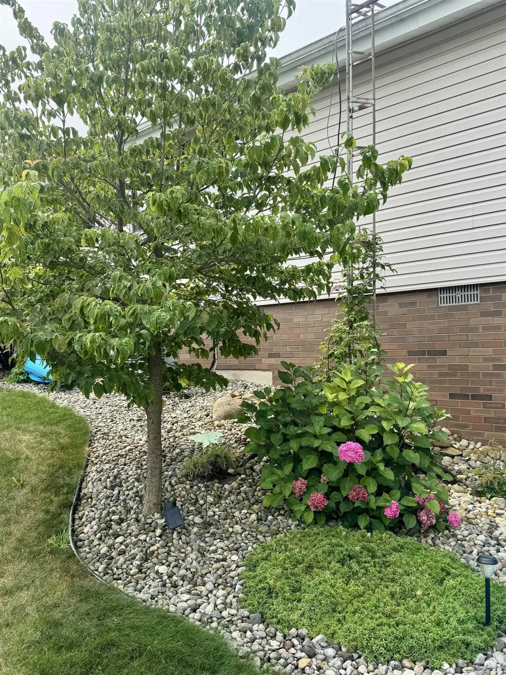 11262 Sauk Lane Somerset Township, MI 49249
