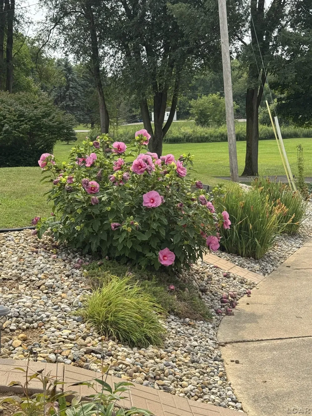 11262 Sauk Lane Somerset Township, MI 49249