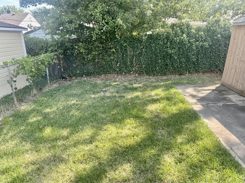 22464 Rein Avenue Eastpointe City, MI 48021
