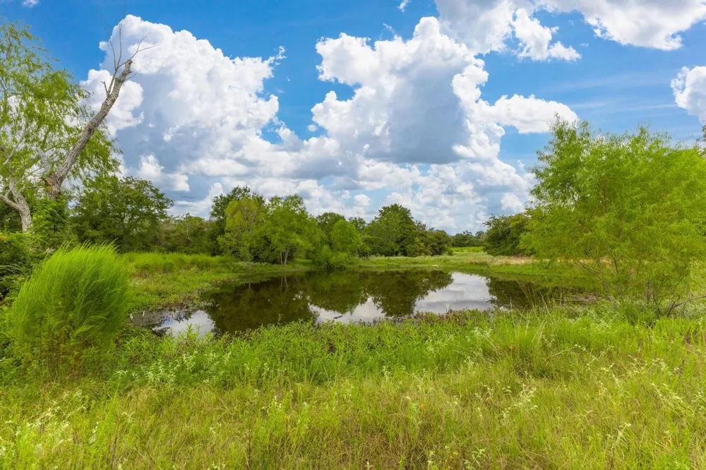 28060 Walker Road Hempstead, TX 77445