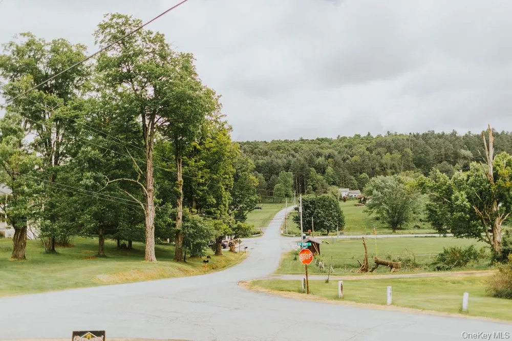 783 Skipperene Road Cochecton Center, NY 12726