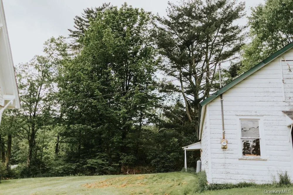 783 Skipperene Road Cochecton Center, NY 12726