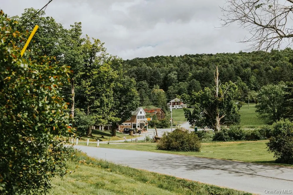 783 Skipperene Road Cochecton Center, NY 12726