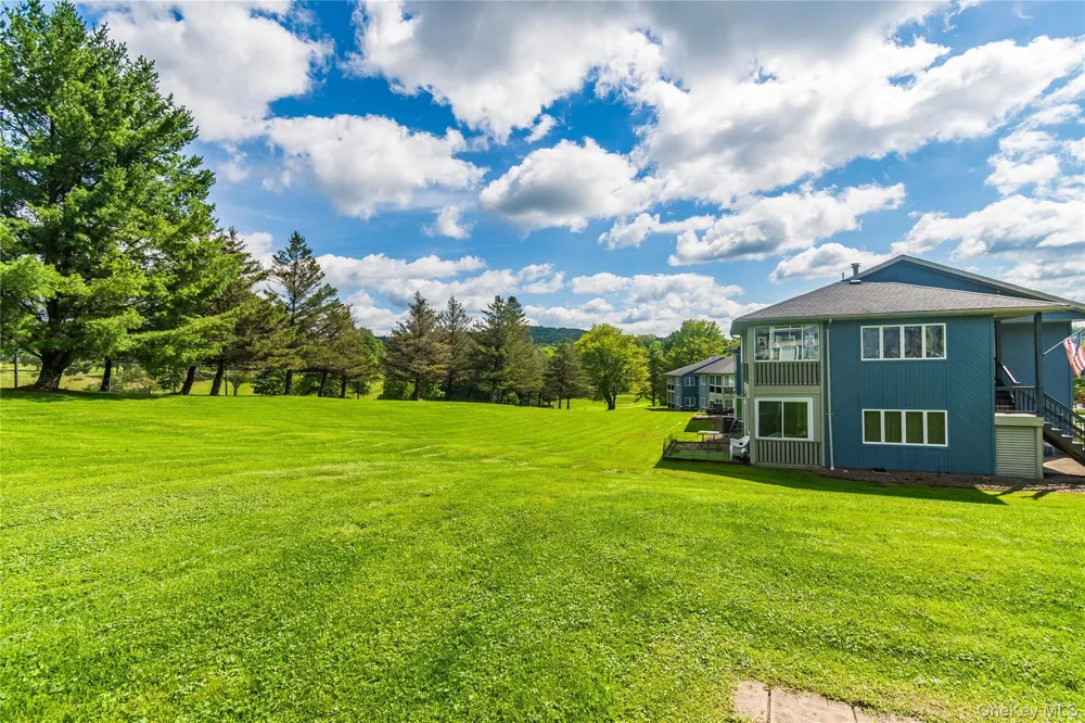 4 Joe D Drive #4C Callicoon, NY 12723