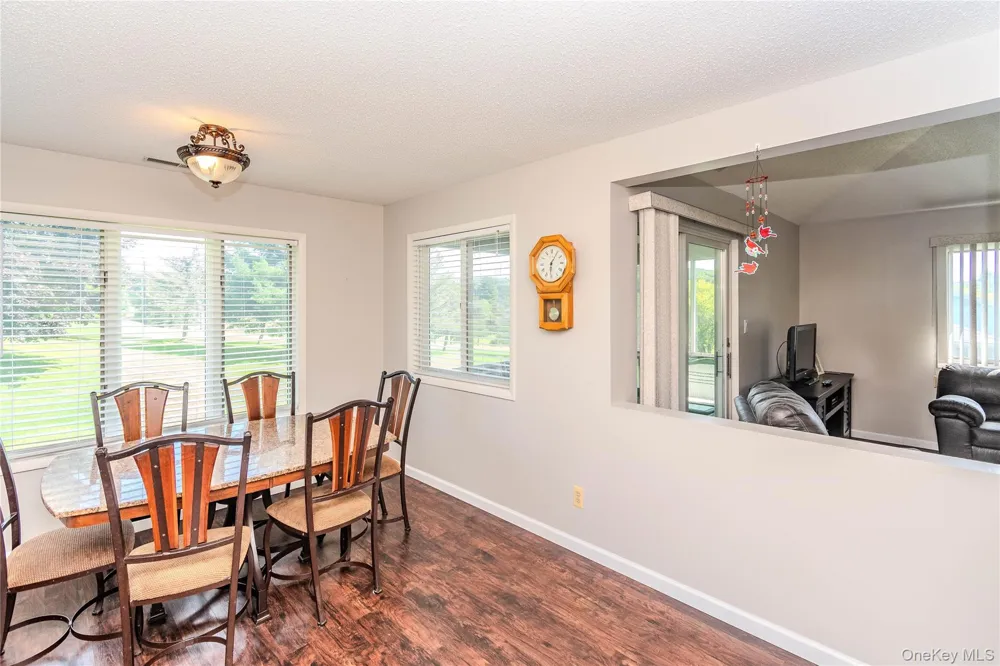4 Joe D Drive #4C Callicoon, NY 12723