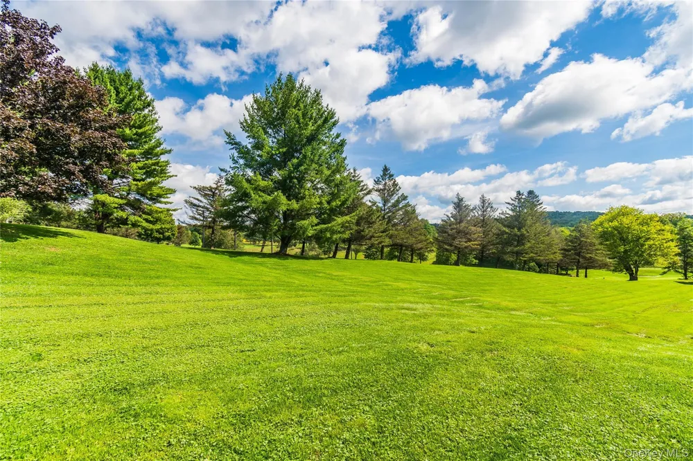 4 Joe D Drive #4C Callicoon, NY 12723