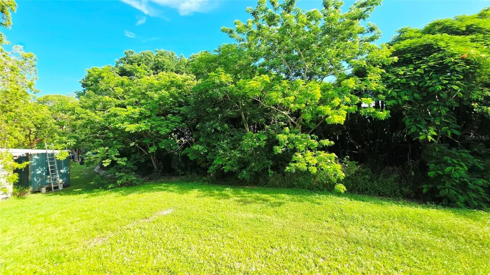 1227 MANGROVE LANE Chokoloskee, FL 34138