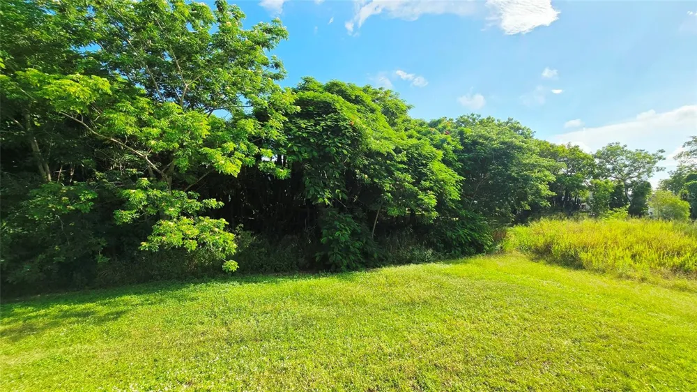 1227 MANGROVE LANE Chokoloskee, FL 34138