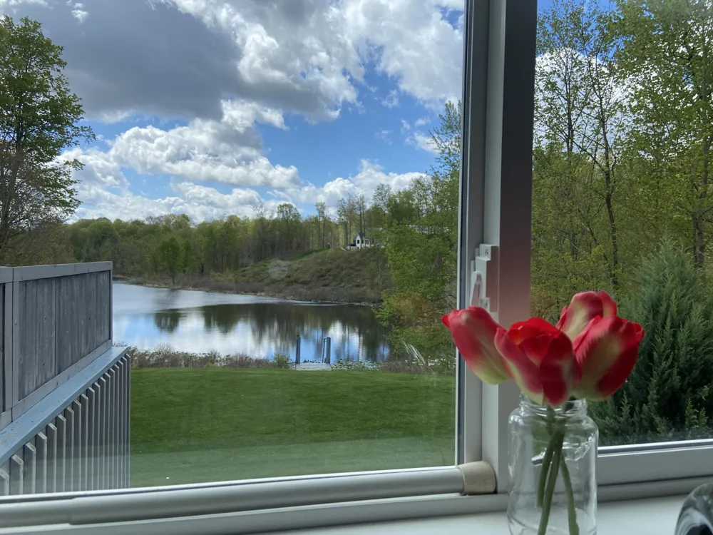 306 Kingfisher Court Leighton Township, MI 49316