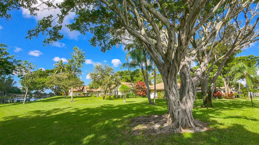 3408 ROSE HILL WAY #143 Lauderhill, FL 33319