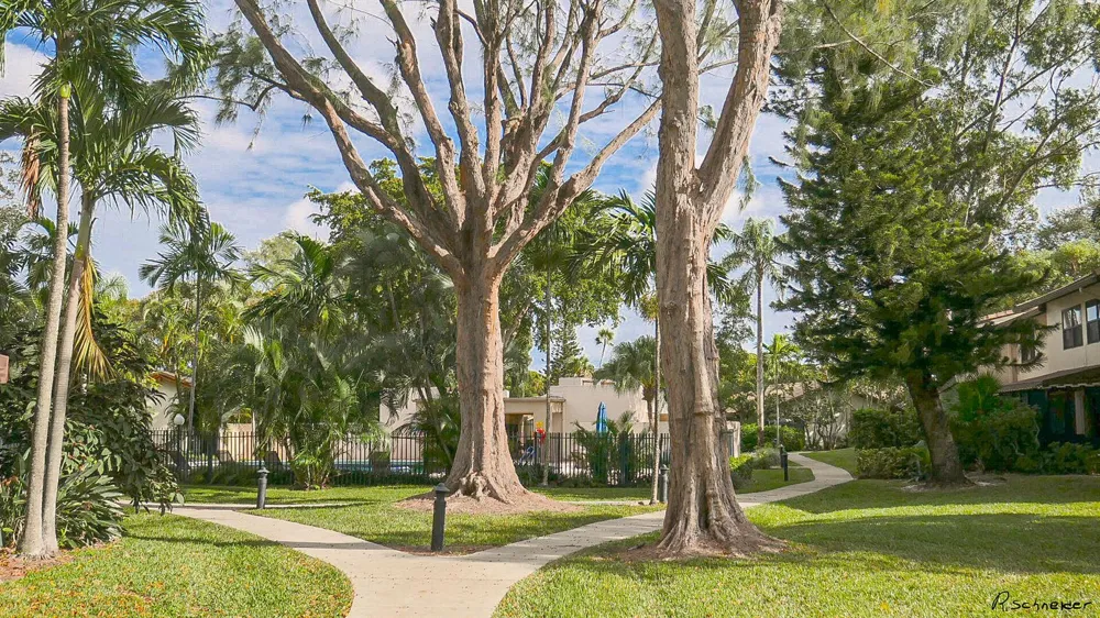3408 ROSE HILL WAY #143 Lauderhill, FL 33319