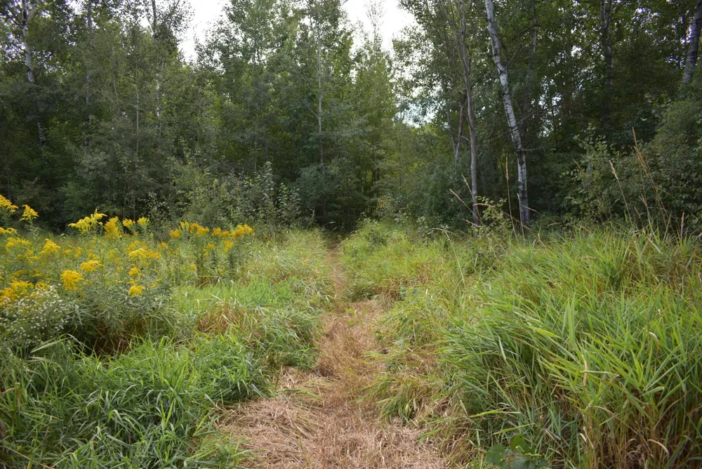 N8339 Champion Road Trego, WI 54888