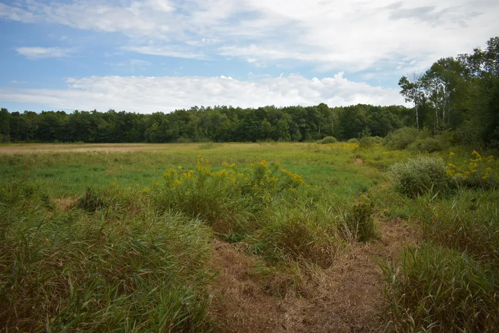 N8339 Champion Road Trego, WI 54888