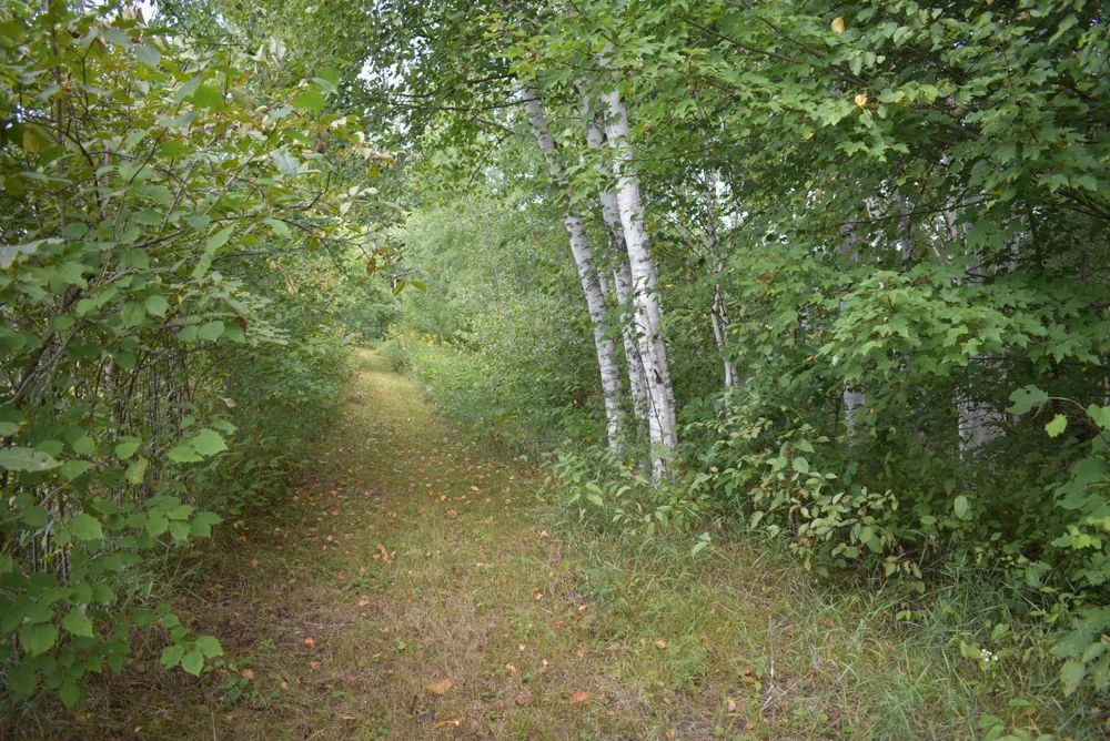 N8339 Champion Road Trego, WI 54888