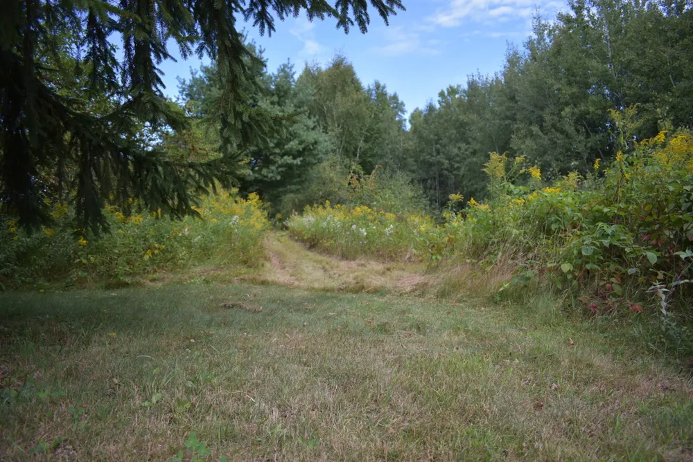 N8339 Champion Road Trego, WI 54888