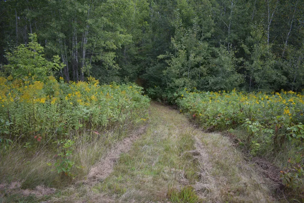 N8339 Champion Road Trego, WI 54888