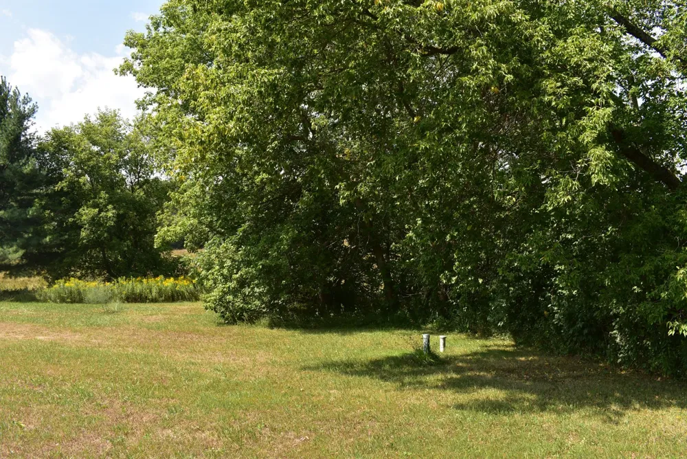N8339 Champion Road Trego, WI 54888