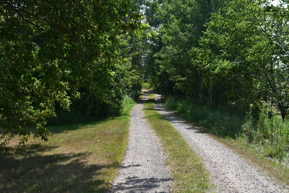 N8339 Champion Road Trego, WI 54888