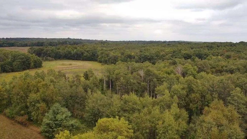 N8339 Champion Road Trego, WI 54888