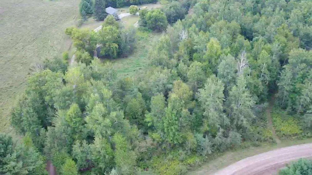 N8339 Champion Road Trego, WI 54888