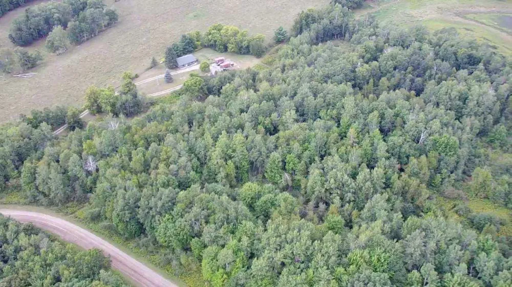N8339 Champion Road Trego, WI 54888
