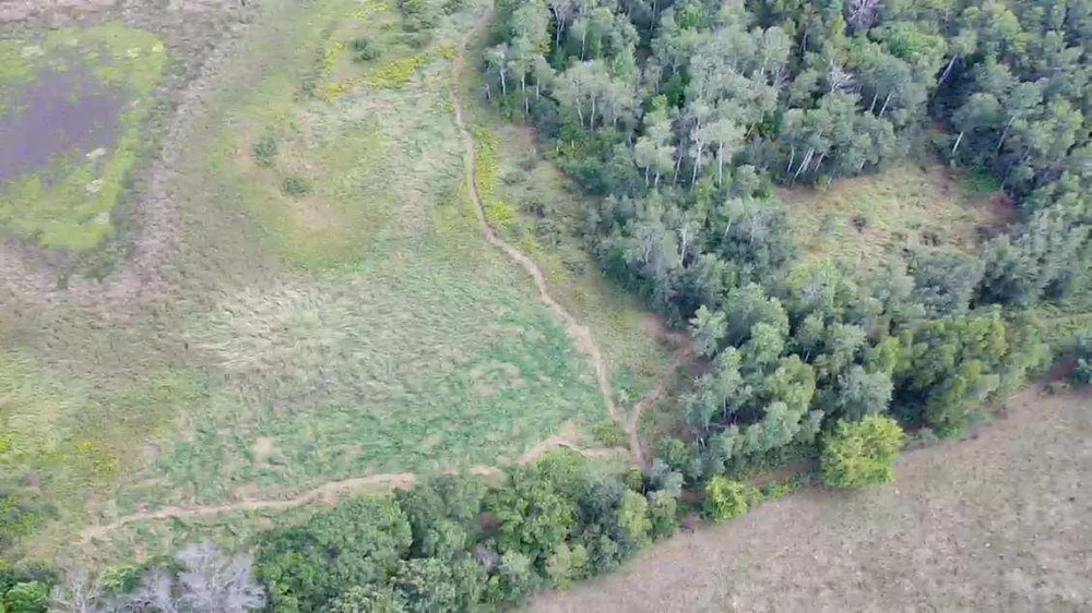N8339 Champion Road Trego, WI 54888