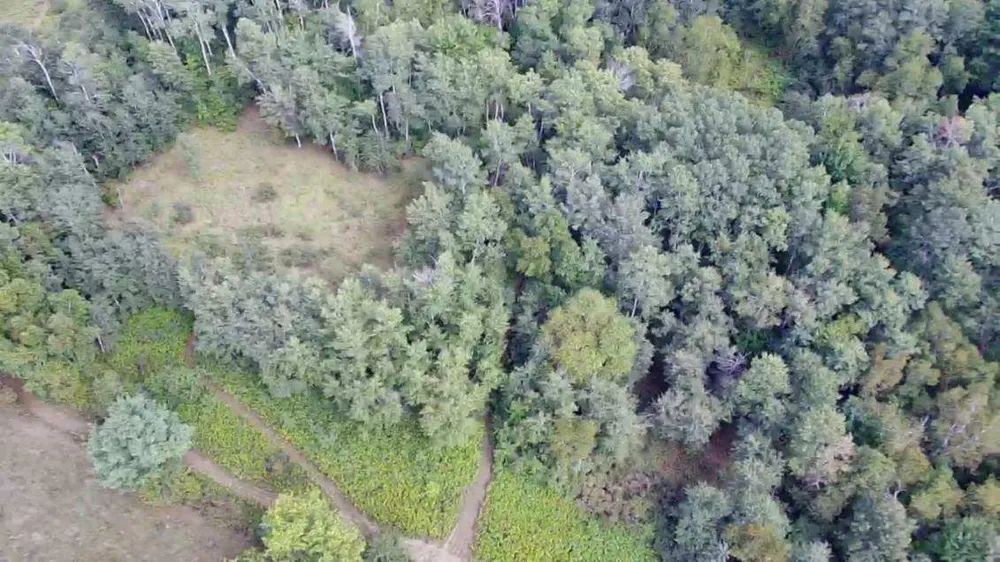 N8339 Champion Road Trego, WI 54888