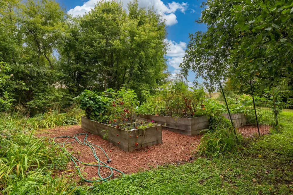 24412 Iona Avenue Morristown, MN 55052