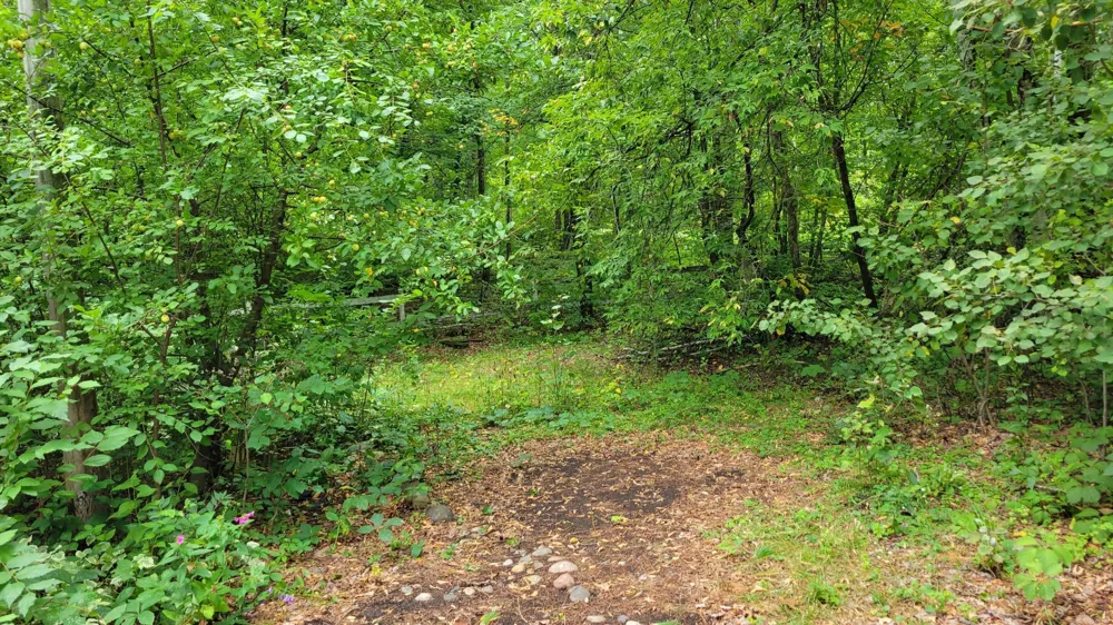 27600 W Twin Lake Drive Pequot Lakes, MN 56472